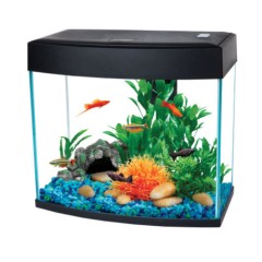 AA-Aquarium Аквариум BasicP 14 л, панорамный черный, 340*192*310 мм