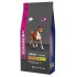 Eukanuba / Екануба Dog корм для взрослых собак средних пород 15 кг