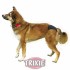 Trixie Трусы д/собак Люкс размер №5 60-70см, черные 23495