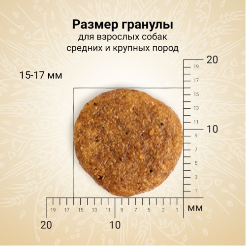 Craftia Natura сухой корм для взрослых собак средних и крупных пород с ягненком и перепелкой, 640 гр