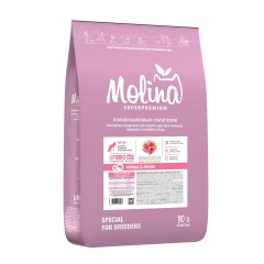 Molina Сухой корм  с курицей и лососем для котят, 10 кг