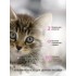 Darsi Сухой корм для котят, Kitten, Индейка, 1.8 кг
