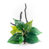 Barbus Грот Коряга с растениями, 23х17х15 см (Decor 208)