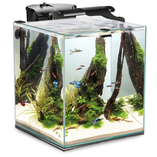 Aquael Аквариум FISH & SHRIMP SET DUO Day&Night LED 2.0/ 49 л, куб, Черный