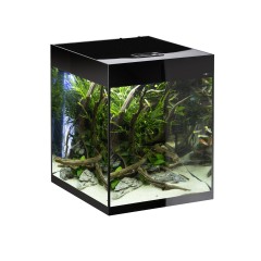 Aquael Аквариум Glossy 50 D&N / 135л высокий Черный, 50х50х63см