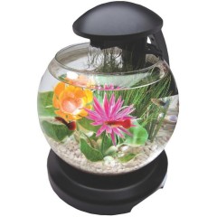 Tetra Cascade Globe Аквариум круглый, черный, 6.8 л