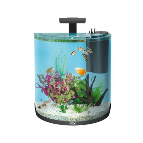 Tetra Aqua Art Explorer Line Аквариум, 60 л