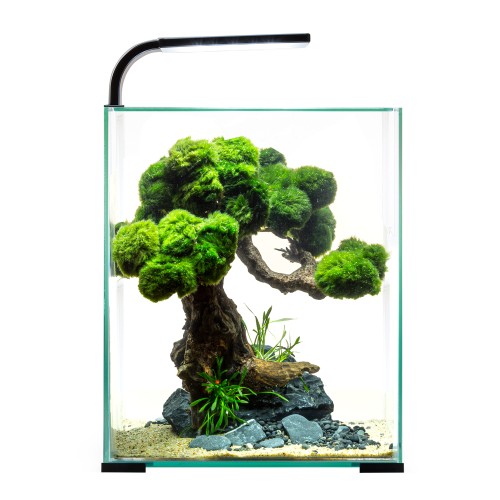 Aquael Аквариум Shrimp Set SMART LED D/N 10 / 10 л, куб, Черный