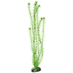 Barbus Пластиковое растение Элодея, 50 см (Plant 004/50)