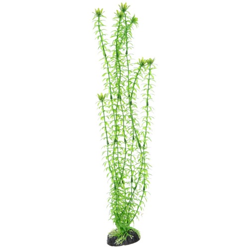 Barbus Пластиковое растение Элодея, 50 см (Plant 004/50)